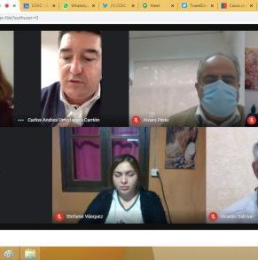 2_Reunión_con_Serviu_19-05-2020.jpg