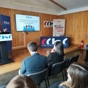 Actividad_de_Reconocimiento_Mujeres_CChC_14_11_2023_(108).jpg