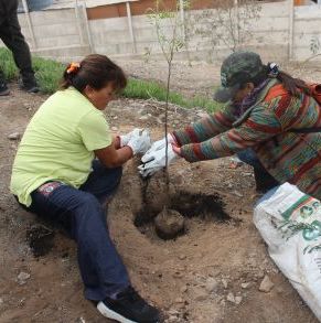 Arborización_Colonias_Extranjeras_Copiapó_4.jpg