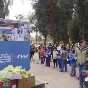 Arborización_El_Pretil_1.jpg