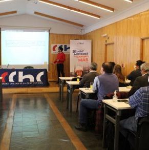 Charla_SII_Declaraciones_Juradas_CChC_Punta_Arenas_15_03_2022_(2).JPG