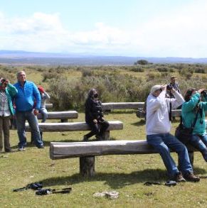 Estancia_Olga_Teresa_08012022_Mundo_Socios_CChC_Punta_Aren_(64).JPG