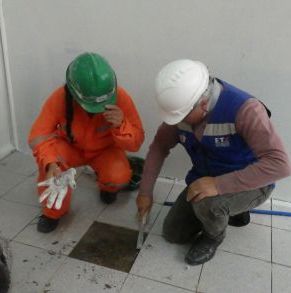 Programa_Cimientos_II_5.jpg