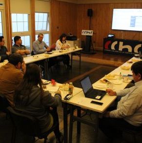Reu_Comisión_Seguridad_CChC_Punta_Arenas_23_06_2022_(6).JPG