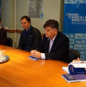 barilo_osorno_(3).JPG