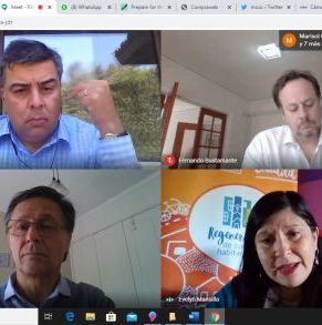 reunion_seremi_minvu_virtual_abril_2020_2.jpg