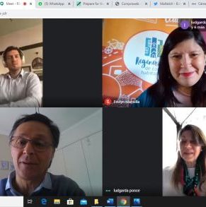 reunion_seremi_minvu_virtual_abril_2020_4.jpg