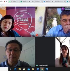 reunion_seremi_minvu_virtual_abril_2020_7.jpg