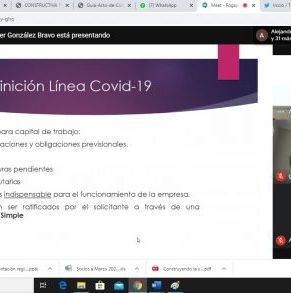 webinar_Fogape_mayo_2020.jpg