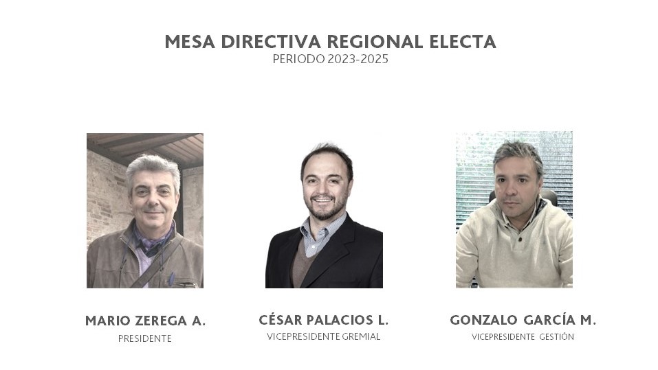 MESA_DIRECTIVA_REGIONAL_ELECTA_boletin.jpg