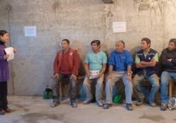 Se inicia inédito proyecto de “Pausas Activas” para trabajadores de la construcción noticias