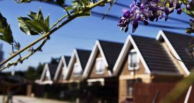 Condominio_Las_Encinas_de_la_Cruz__low_web.jpg