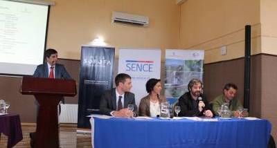 IMG_4669_-_copia.JPG