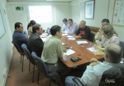 comite-medio-ambiente-250x175.jpg