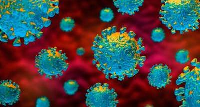 dt_200221_covid_19_coronavirus_800x450-1.jpg