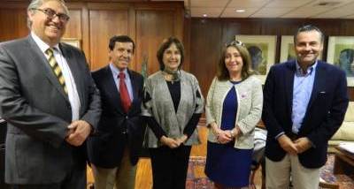 reuni%C3%B3n_ministra_de_salud_mayo_2017.jpg