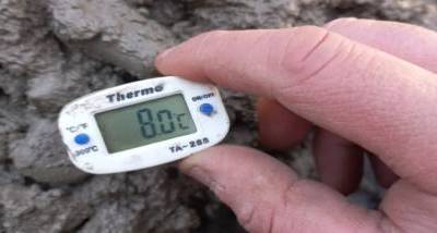 web_hormigon_en_clima_frio.jpg