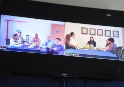 video-conferencia-250x175.jpg