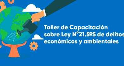 taller