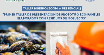 webbb_Invitacio%CC%81n_TALLER_DE_PRESENTACIO%CC%81N_DE_PROTOTIPO_ECO-PANELES_%281%29.png